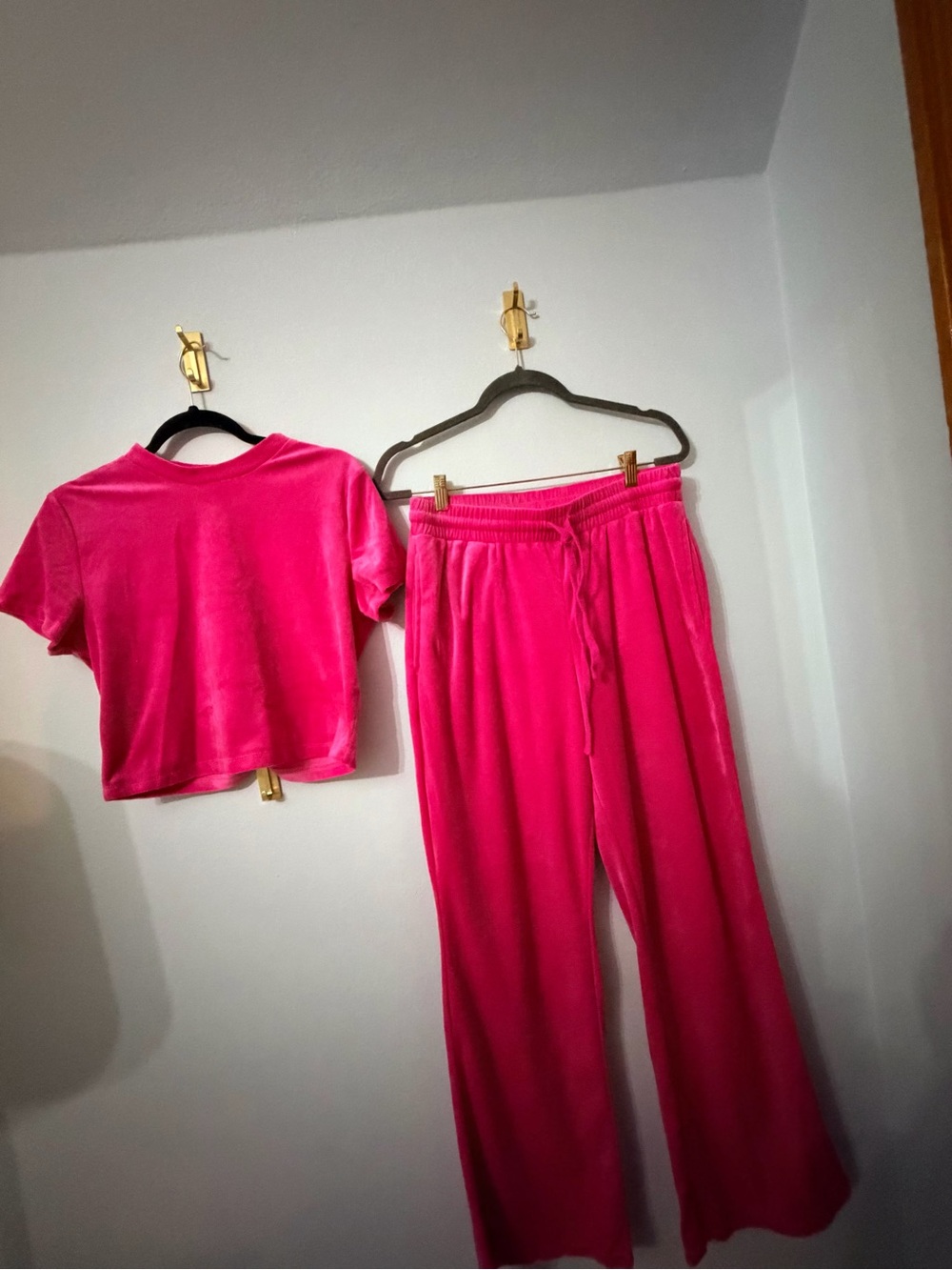 Fashion Nova Hot Pink Velour Top and pants